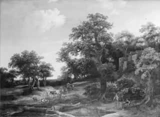 The Edge of the Oak Wood
