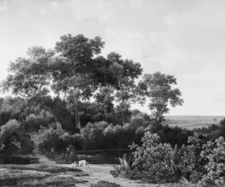 The Game Reserve near Arnheim