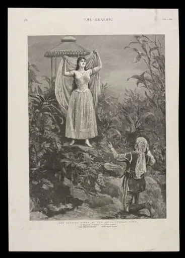 H Beard Print Collection, by The Graphic