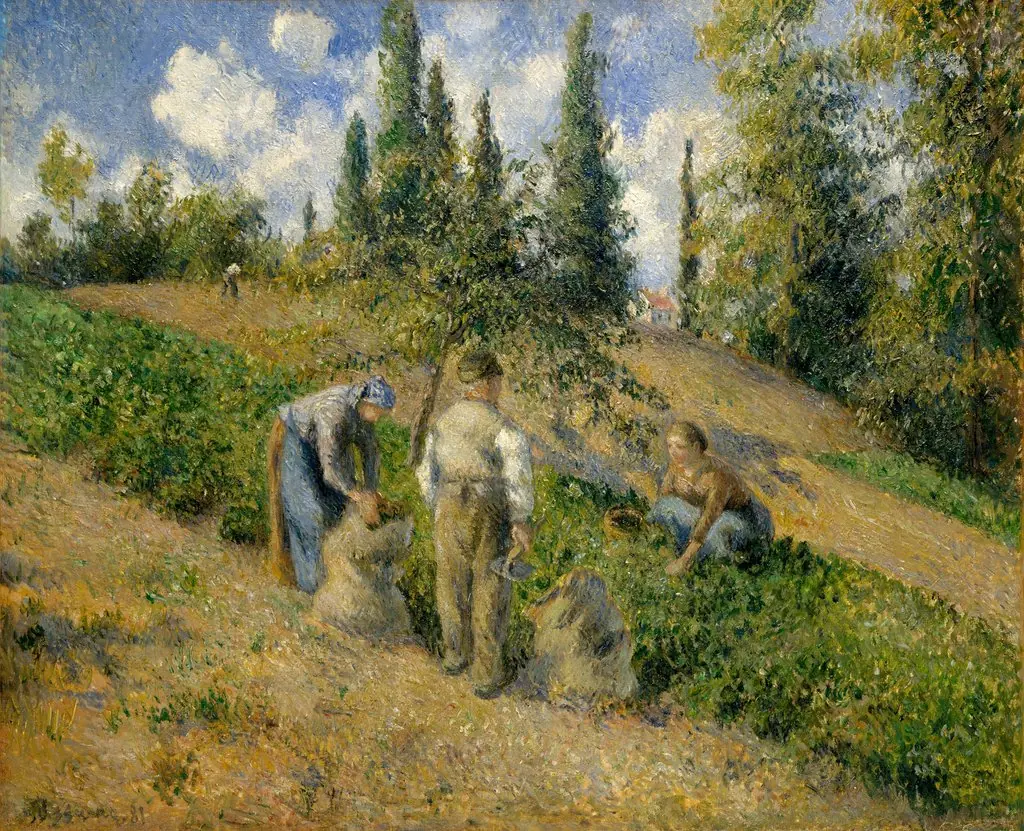 The Harvest, Pontoise (La Récolte, Pontoise)