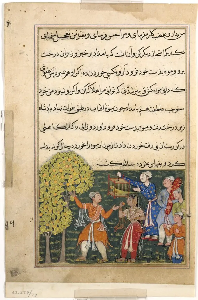 The king plucks fruit from the Tree of Life with his own hands and feeds it to a lady, from a Tuti-nama (Tales of a Parrot): Ninth Night