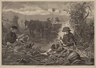 The Last Days of Harvest