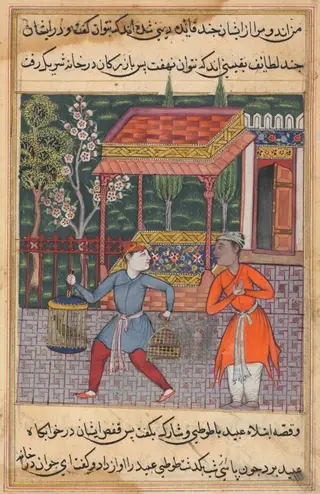 The merchant of Tirmiz takes the wise parrot and myna to ‘Ubaid, from a Tuti-nama (Tales of a Parrot): Forty-second Night