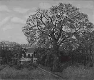 The Old Elm