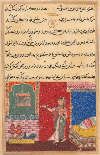 The Parrot Addresses Khujasta at the Beginning of the Fifteenth Night, from a Tuti-nama (Tales of a Parrot)