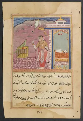 The parrot addresses Khujasta at the beginning of the forty-fourth night, from a Tuti-nama (Tales of a Parrot)