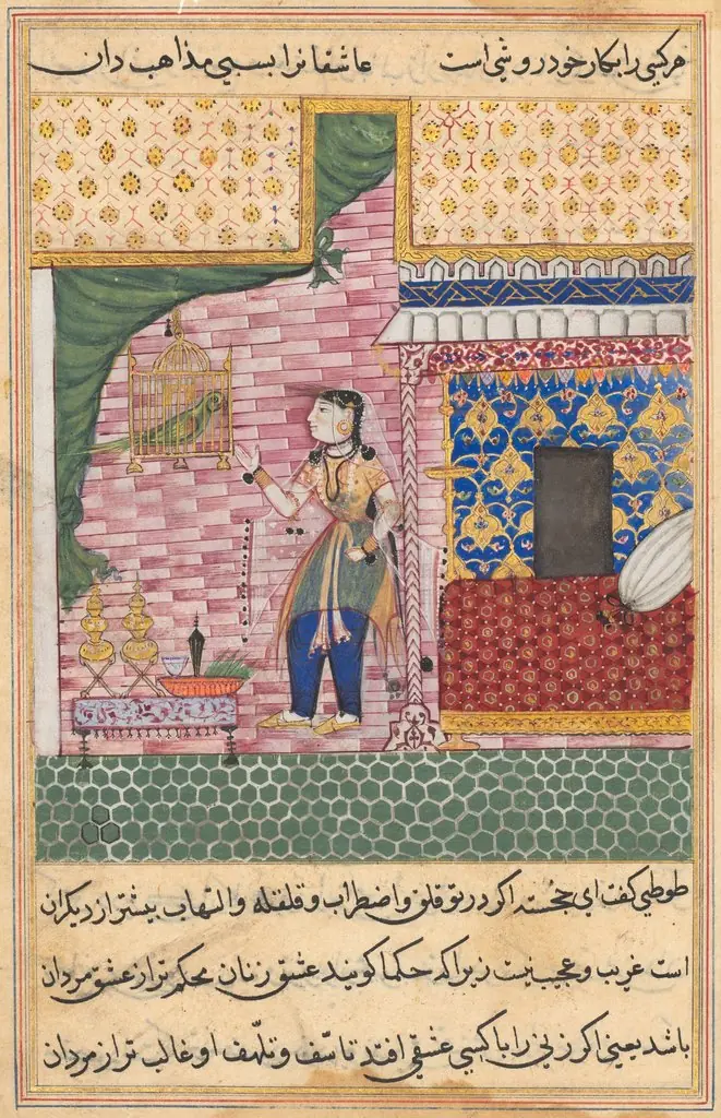 The Parrot Addresses Khujasta at the Beginning of the Seventeenth Night, from a Tuti-nama (Tales of a Parrot)