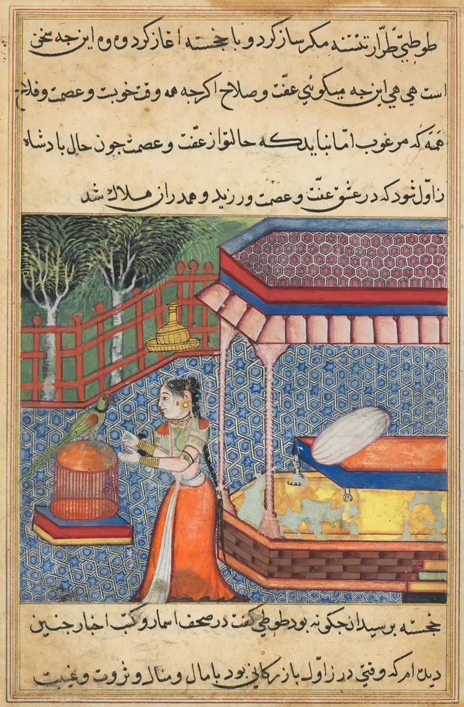 The parrot addresses Khujasta at the beginning of the thirty-sixth night, from a Tuti-nama (Tales of a Parrot)