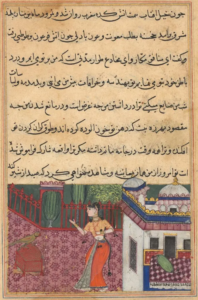 The parrot addresses Khujasta at the beginning of the thirty-third night, from a Tuti-nama (Tales of a Parrot)
