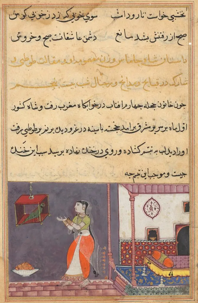 The Parrot Addresses Khujasta at the Beginning of the Twenty-fifth Night, from a Tuti-nama (Tales of a Parrot)