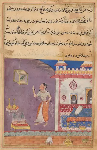 The Parrot Addresses Khujasta at the Beginning of the Twenty-ninth Night, from a Tuti-nama (Tales of a Parrot)