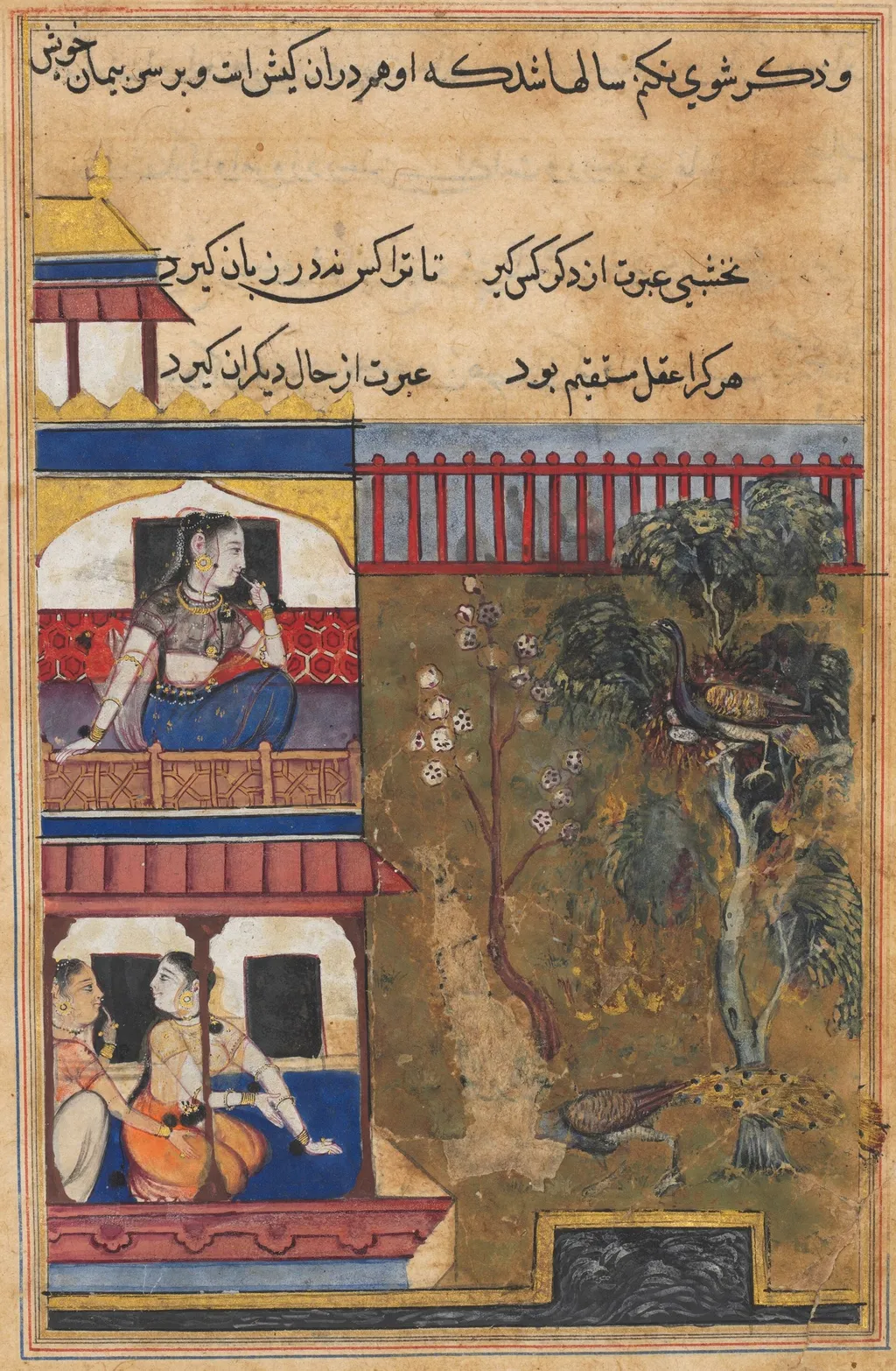 The queen of Rum watches the peahen prefer to burn rather than abandon her eggs while the peacock flees the nest, from a Tuti-nama (Tales of a Parrot): Thirty-ninth Night, unspecified, 1560
