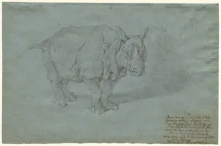 The Rhinoceros "Miss Clara", by Johann Elias Ridinger