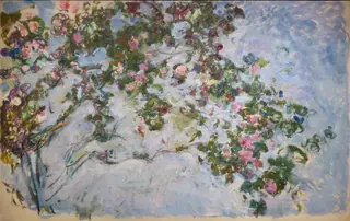 The roses