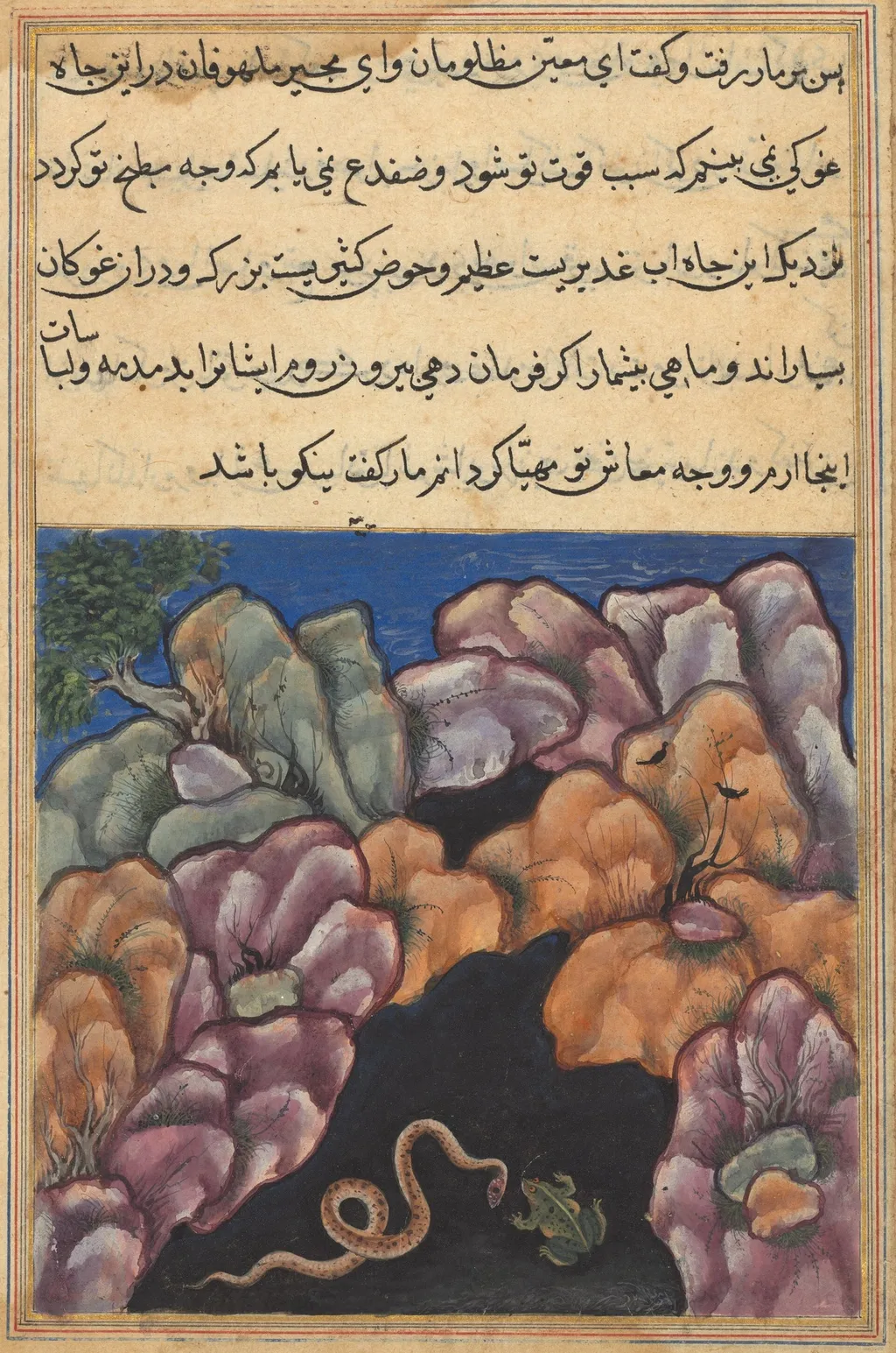 The snake enters into an argument with the frog, from a Tuti-nama (Tales of a Parrot): Twenty-sixth Night, unspecified, 1560