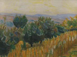 The Vine against the Light. A wheat field in the foreground. Villa Linda, Florence
