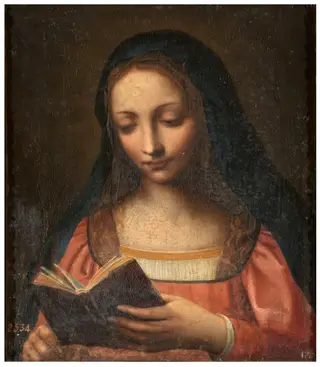 The Virgin Reading