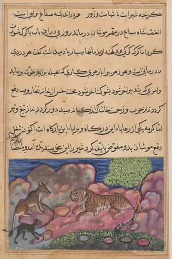 The wolf advises the lion to consult the cat, from a Tuti-nama (Tales of a Parrot): Fifteenth Night