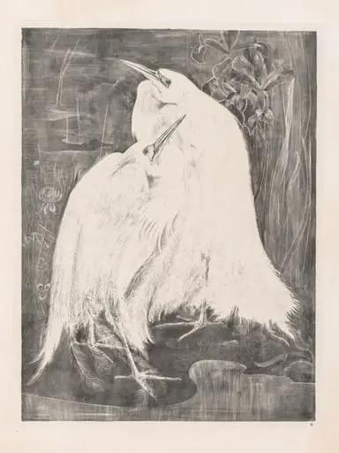 Animal Studies: Two Silver Herons, by Theo van Hoytema
