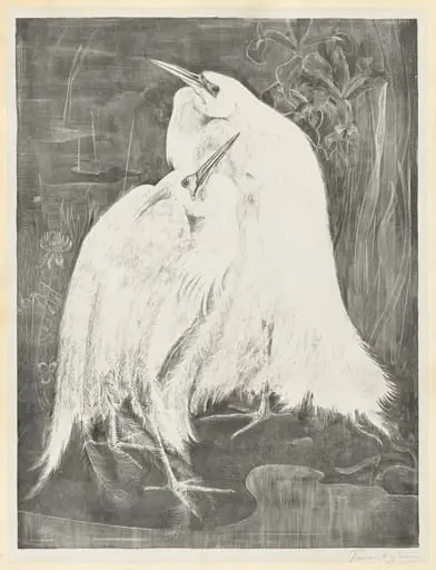 Two White Egrets, by Theodoor van Hoijtema
