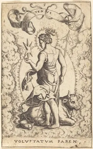 Venus, by Theodor de Bry