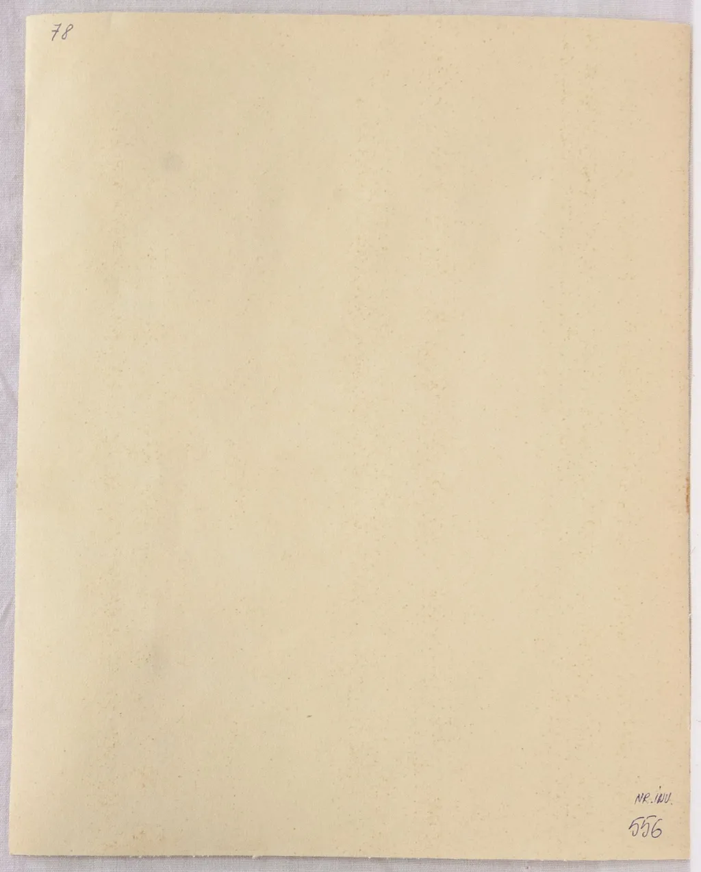 La cassa (Inventar la Capșa), by Theodor Pallady, 1950