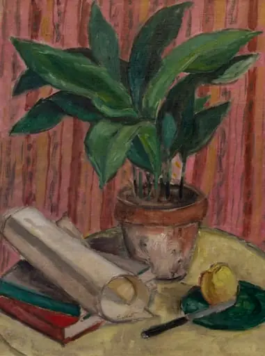 Natură statică cu plantă ornamentală, by Theodor Pallady