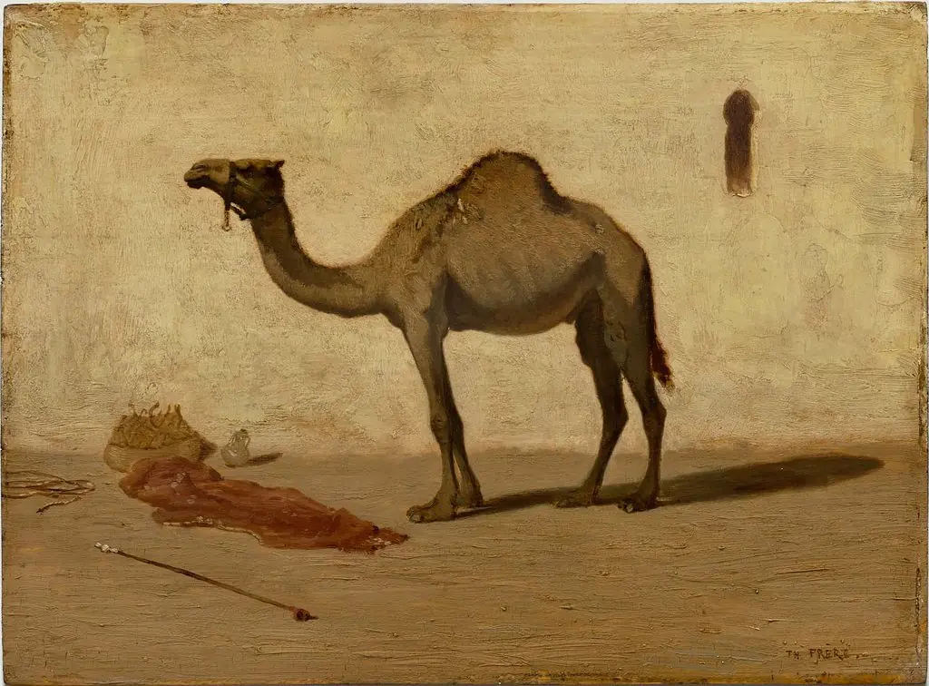 Camel, by Théodore Frère