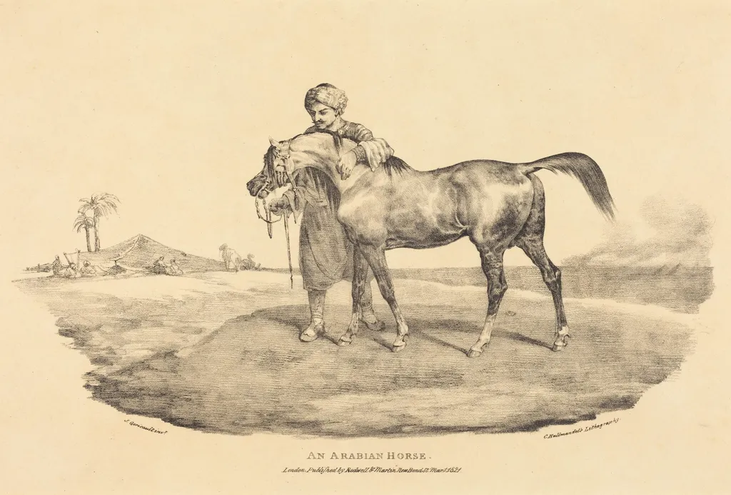 An Arabian Horse, by Théodore Géricault, ink, 1821