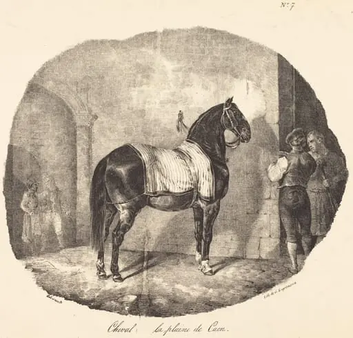 Cheval de la plaine de Caen, by Théodore Géricault