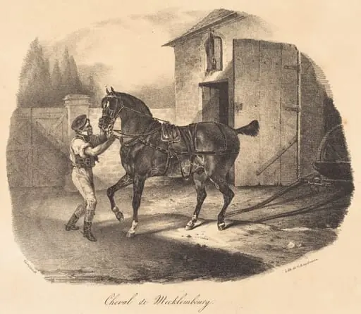 Cheval de Mecklembourg, by Théodore Géricault, 1822
