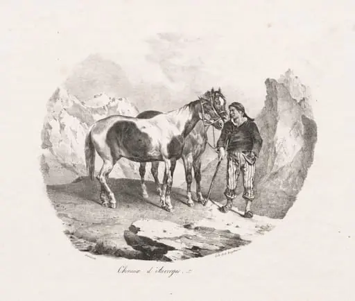 Chevaux d' Auvergne, by Théodore Géricault