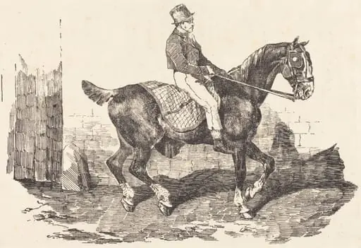 Groom Mounted on a Carriage-Horse (Cheval de carrosse monte par un palfrenier), by Théodore Géricault
