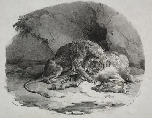 Horse Devoured by a Lion, by Théodore Géricault