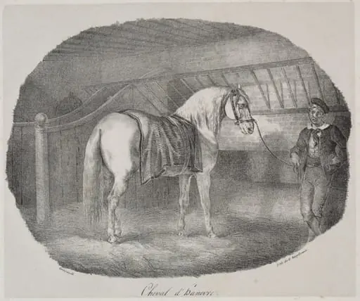 Horse from Hanover, by Théodore Géricault