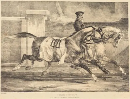 Horses Exercising, by Théodore Géricault