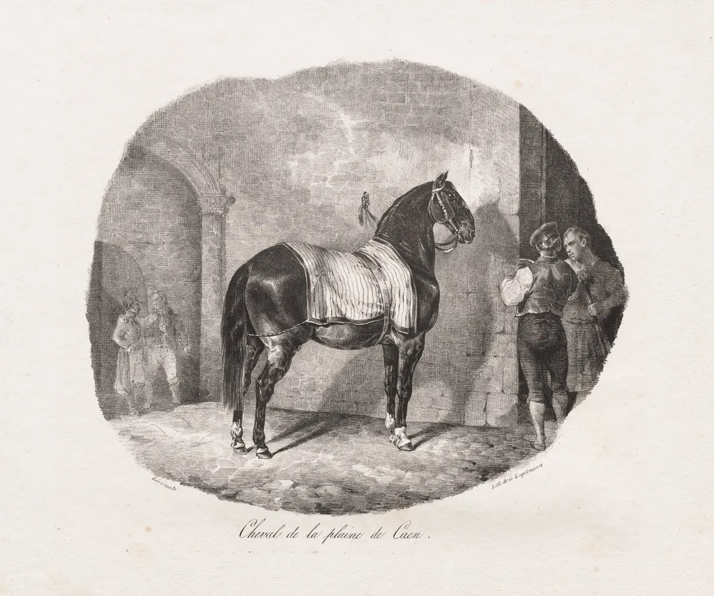 Lithographed Studies of Horses: Pl. 7, Horse from the Caen Plain, by Théodore Géricault, 1822