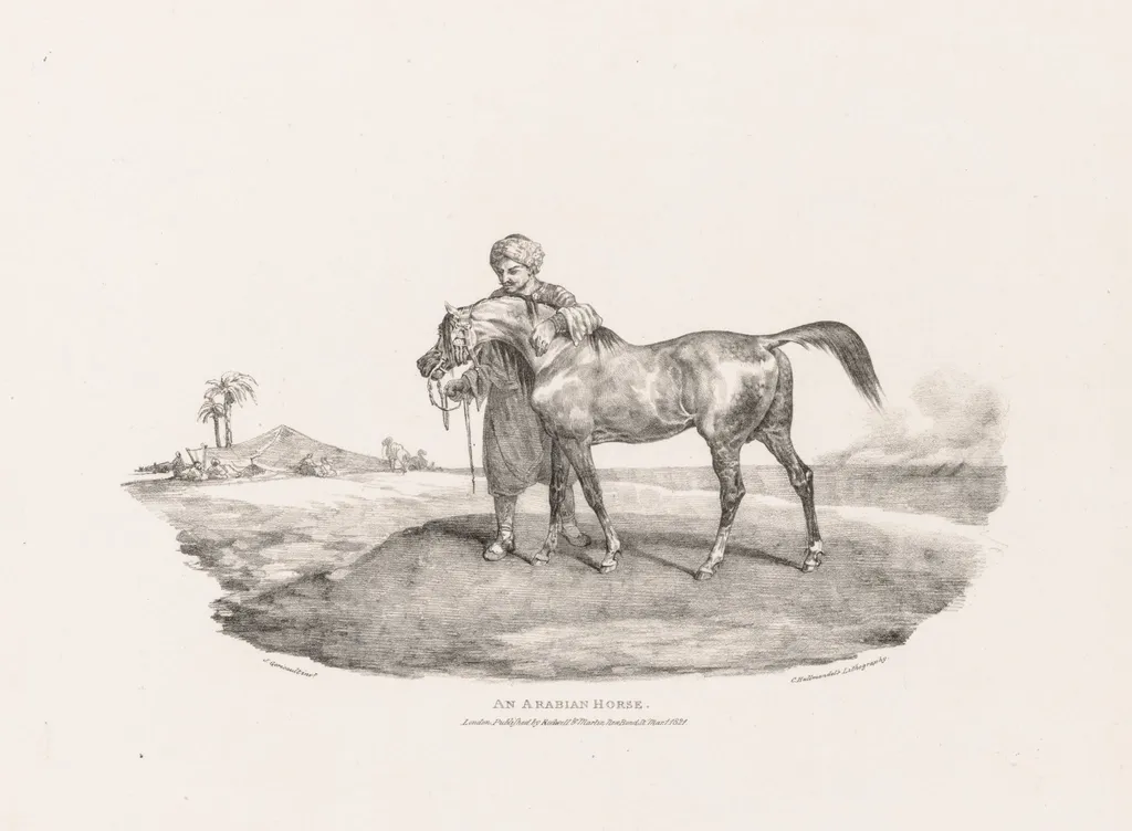 Various Subjects Drawn from Life and on Stone: An Arabian Horse, by Théodore Géricault, 1821