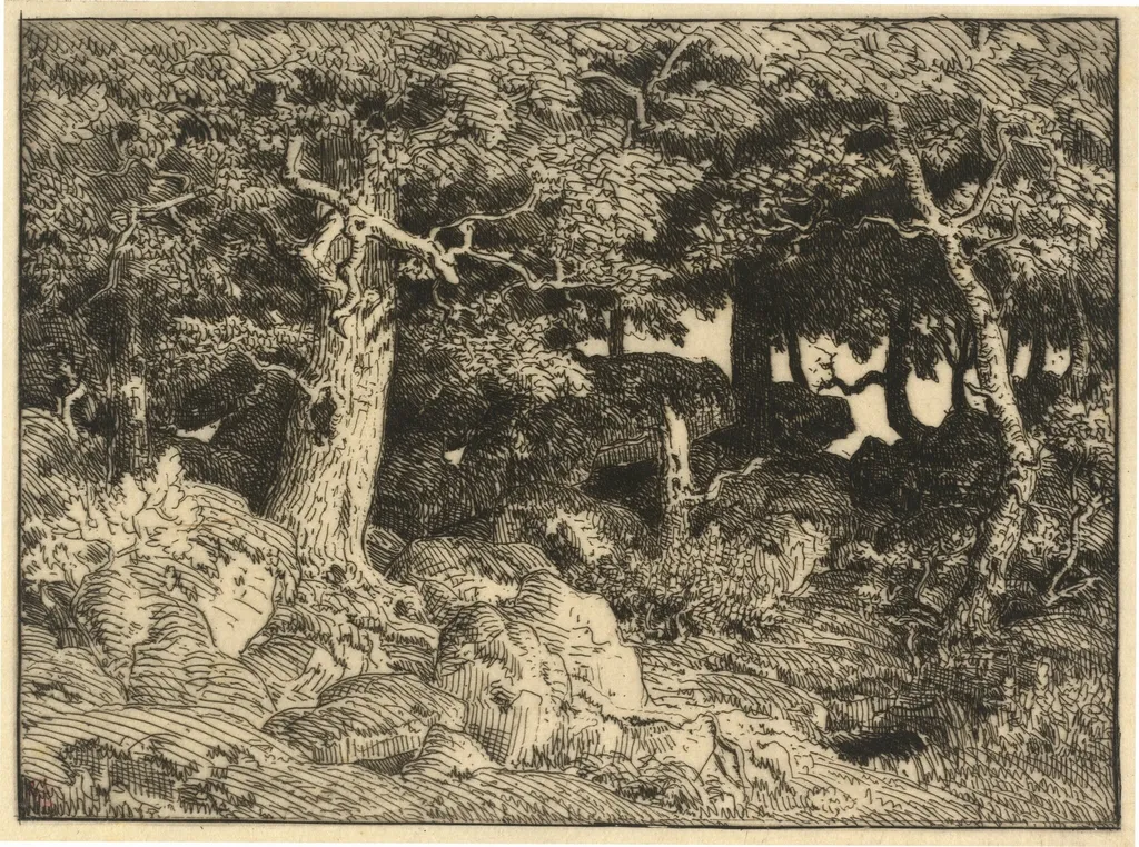 Chenes de Roche (Rock Oaks), by Théodore Rousseau, ink, 1861
