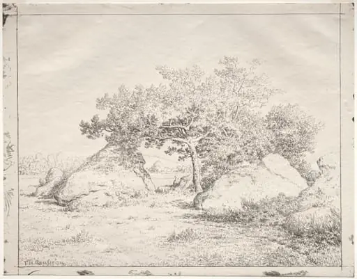 Cherry Tree at Blau, by Théodore Rousseau