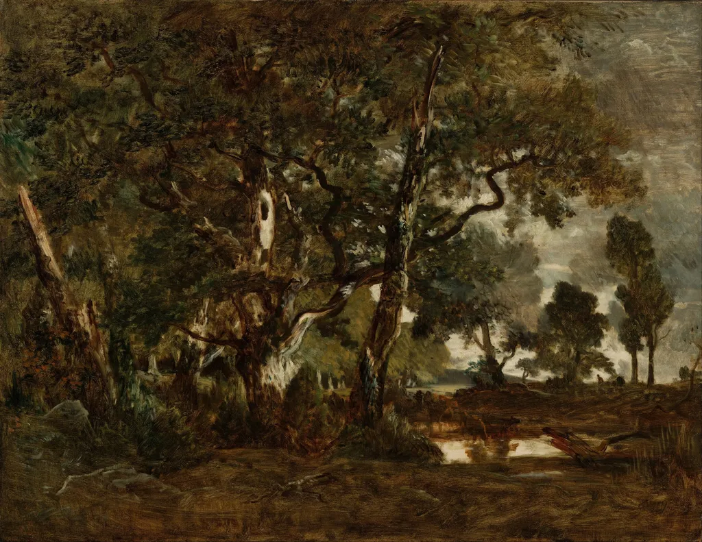 Forest of Fontainebleau, Cluster of Tall Trees Overlooking the Plain of Clair-Bois at the Edge of Bas-Bréau, by Théodore Rousseau, oil, 1850