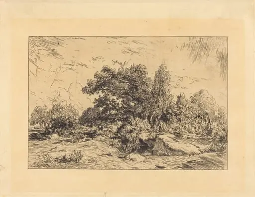 Vue du Plateau de Bellecroix, by Théodore Rousseau