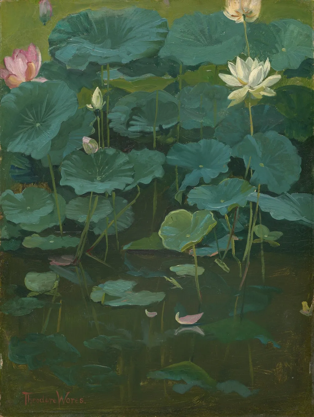 Buddha's Flowers: Lotus, Tokyo, by Theodore Wores, oil, 1894