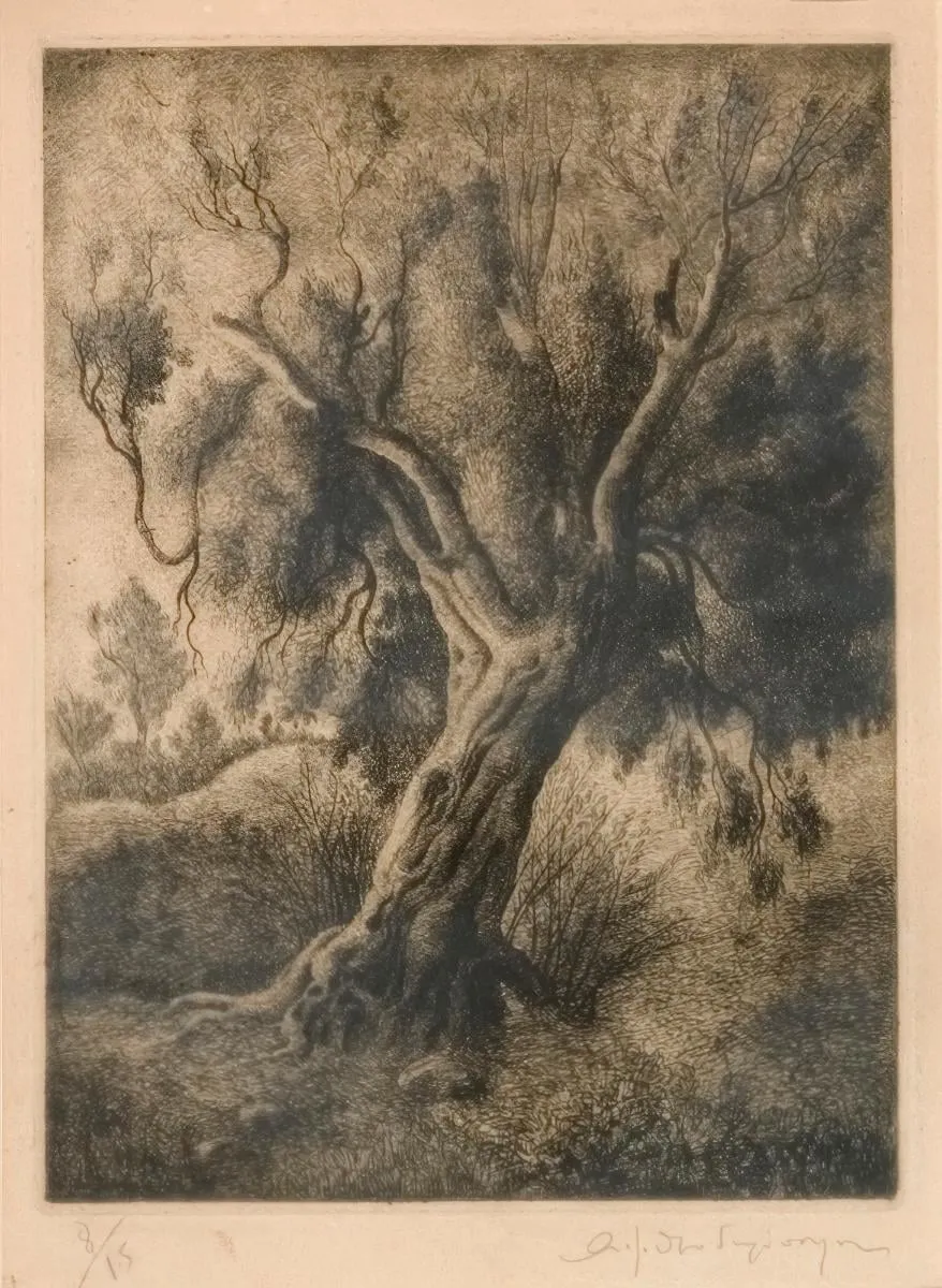 Olives, by Theodoropoulos Angelos