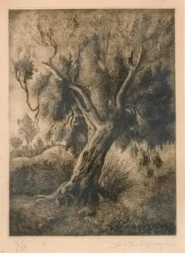 Olives, by Theodoropoulos Angelos