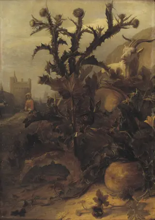Thistle, Pumpkin and a Goat
