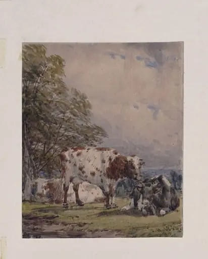 A Study of Cattle, by Thomas Baker