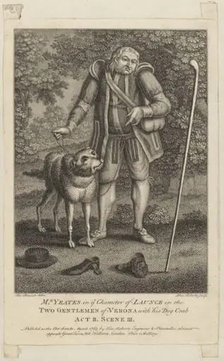 H Beard Print Collection, by Thomas Banner