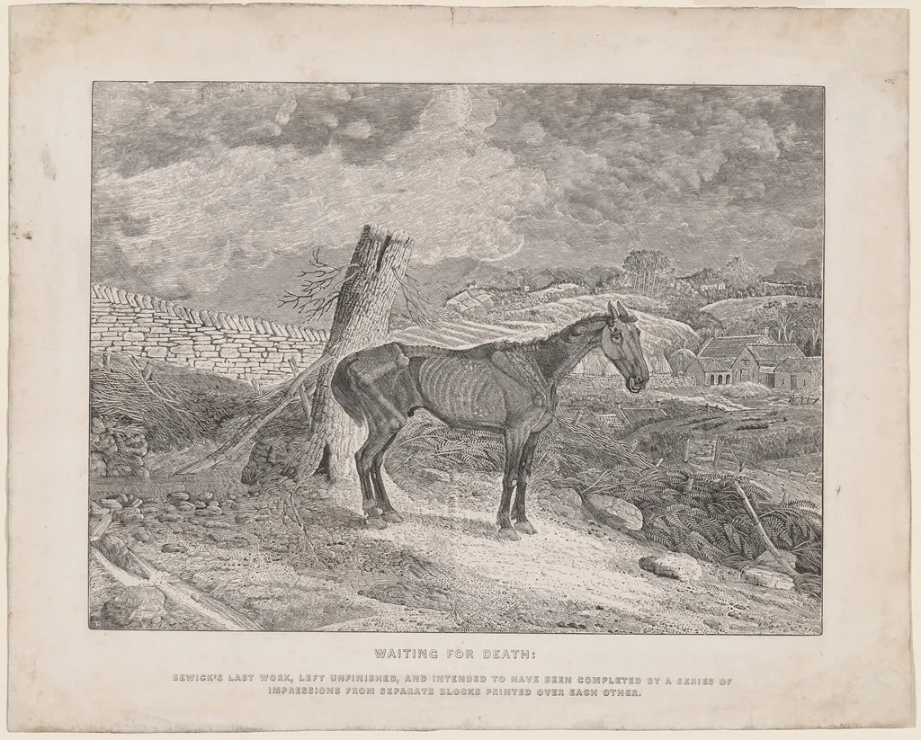 Waiting for Death, by Thomas Bewick, ink, 1828