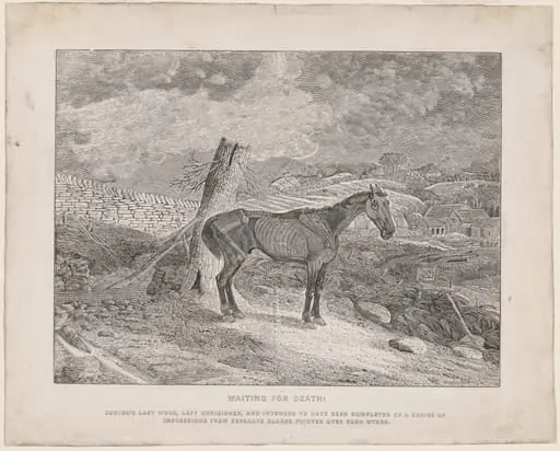 Waiting for Death, by Thomas Bewick